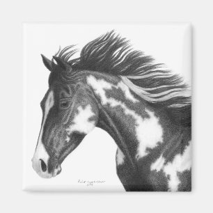 Pinte el imán del caballo