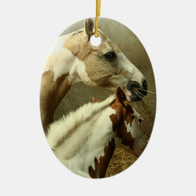 Pinte el ornamento de los pares del caballo (Frente)