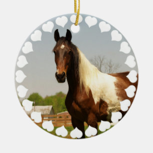 Pinte el ornamento del caballo