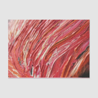 Pinte el papel seda de la impresión