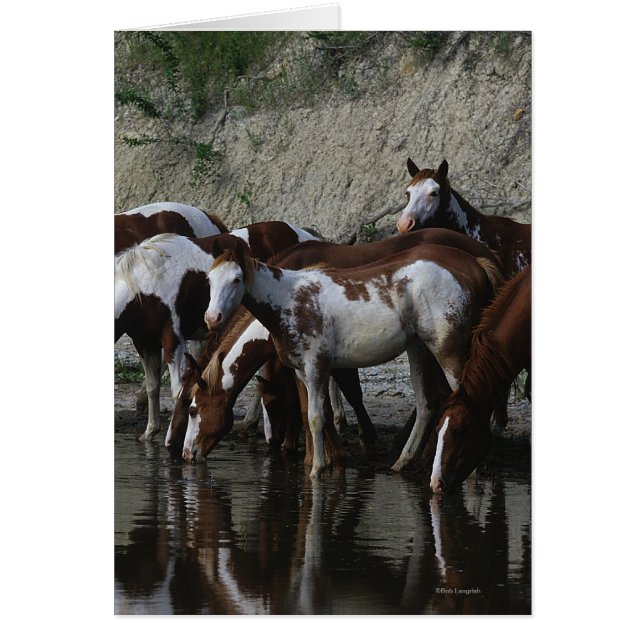 Pinte la consumición de los caballos (Frente)