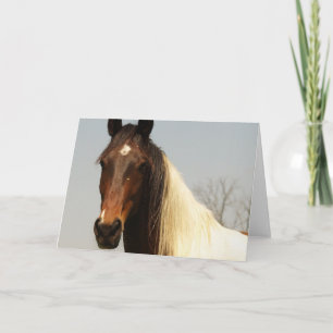 Pinte la tarjeta de felicitación del caballo