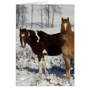 Pinte los caballos en la nieve