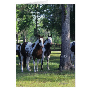 Pinte los caballos en los árboles