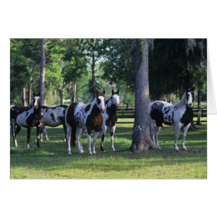Pinte los caballos en los árboles
