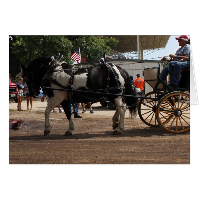 Pinto Borde Caballo 2018 Mt. Agradable, Iowa (Anverso (Horizontal))