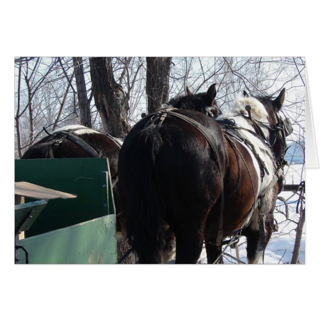 Pinto Caballos Borradores (Anverso (Horizontal))