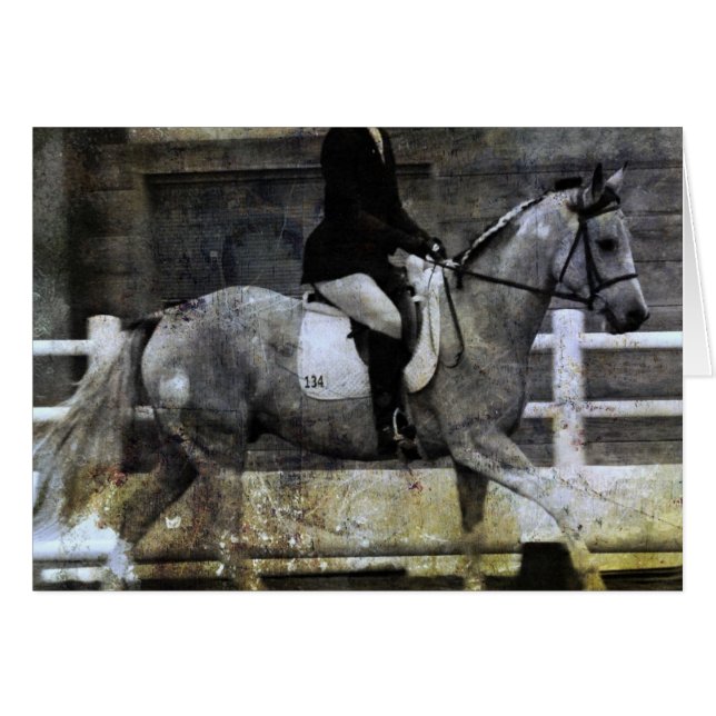 Pinto Dressage Horse (Anverso (Horizontal))