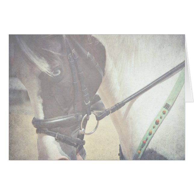 Pinto en la cola (Anverso (Horizontal))