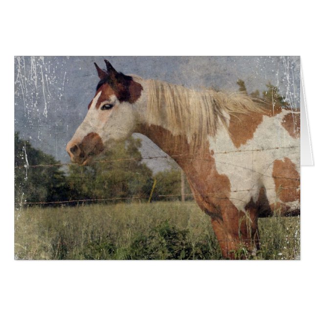 Pinto Horse Grunge (Anverso (Horizontal))