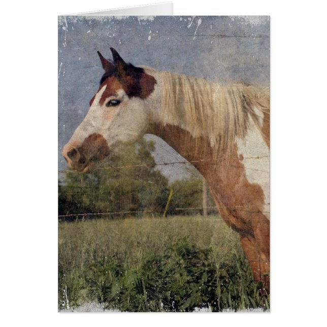Pinto Horse Grunge (Frente)