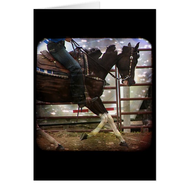 Pinto Occidental (Frente)