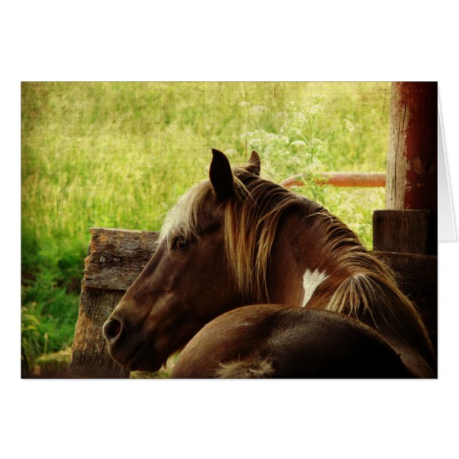 Pinto Pony (Anverso (Horizontal))