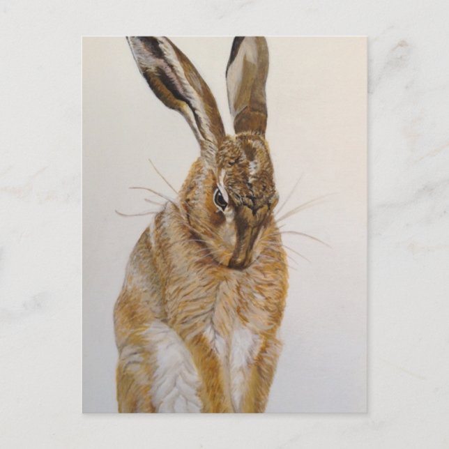 Pintura acrílica de liebre salvaje postales (Anverso)