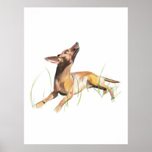 Pintura Acuarela del Pinscher Miniatura, Arte de P