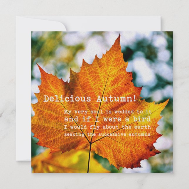 PINTURA AUTOMÁTICA tarjeta 5.25 x 5.25 (Anverso)