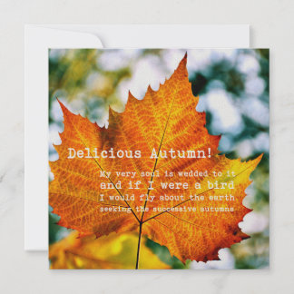 PINTURA AUTOMÁTICA tarjeta 5.25 x 5.25