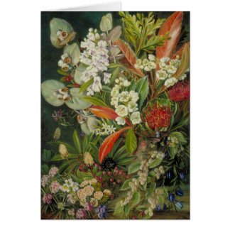 Pintura botánica de Marianne North