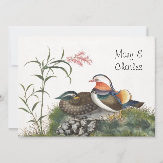 Pintura china del pato mandarín (Anverso)