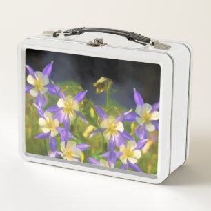 Pintura Colorado Blue Columbine - Arte Original