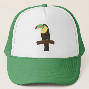 Pintura colorida de Toucan en los gorras