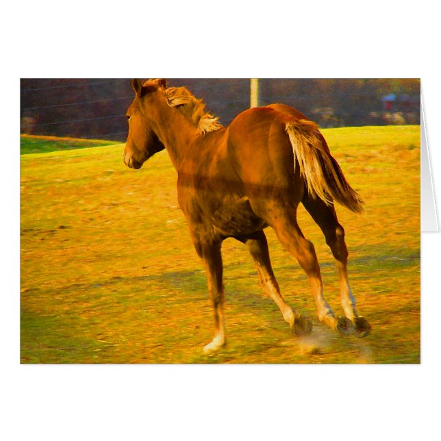 Pintura de aceite Scotch Run~ (Anverso (Horizontal))