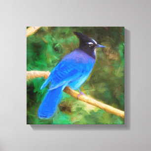 Pintura de arrendajo de Steller - Arte de ave orig