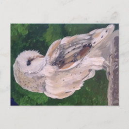 Pintura de búho en la postal