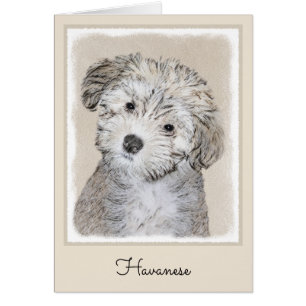 Pintura de cachorro habanesa - Arte de perro origi