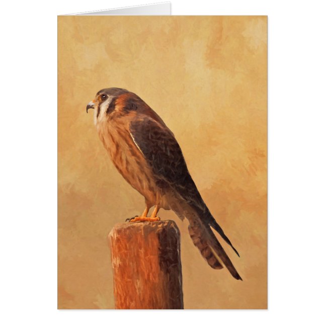Pintura de cernícalo estadounidense - Arte de pája (Frente)