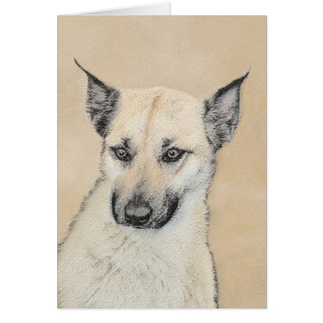 Pintura de Chinook (Orejas puntiagudas) - Arte Per (Frente)