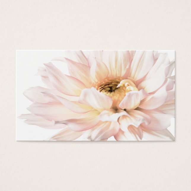 Pintura de Dahlia rosa - Personalizar (Frente)