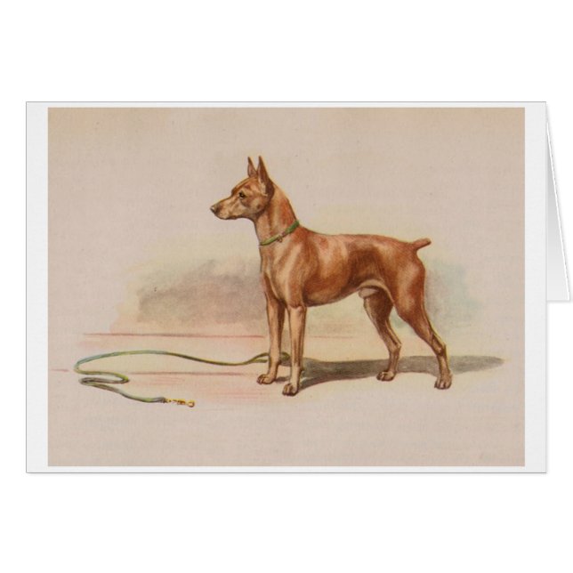 Pintura de época - Perro Pinscher en miniatura, (Anverso (Horizontal))
