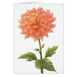 Pintura de flores de Dahlia, Naranja de arvejas fl