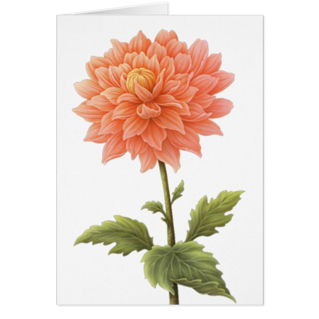 Pintura de flores de Dahlia, Naranja de arvejas fl (Frente)