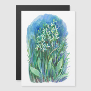 pintura de flores de primavera de orquídeas de mar