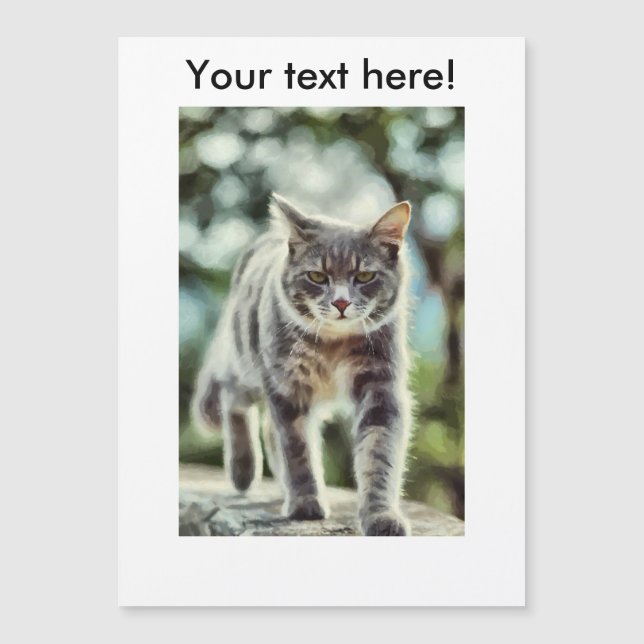 Pintura de gato (Anverso)