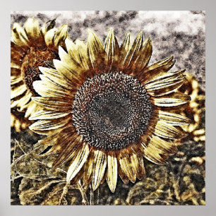 Pintura de girasol de época #4 - Posters