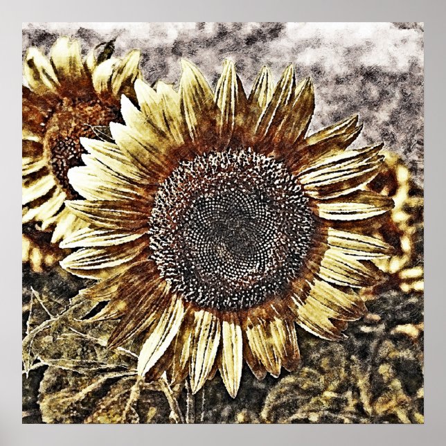 Pintura de girasol de época #4 - Posters (Frente)