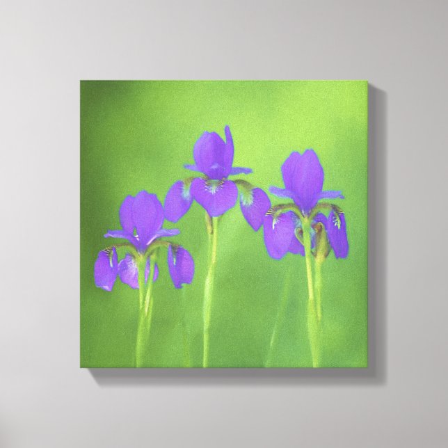 Pintura de iris morado - Arte de flores original (Anverso)