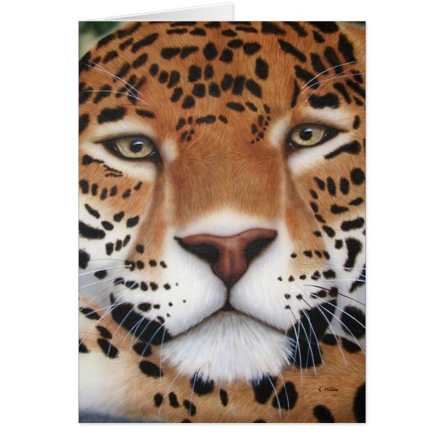 Pintura de Jaguar (Frente)