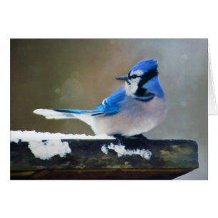 Pintura de Jay azul - Arte de pájaro original
