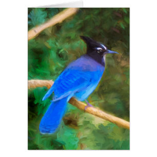Pintura de Jay de Steller - Arte de pájaro origina