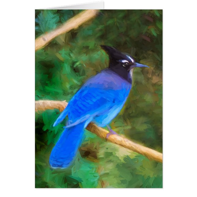 Pintura de Jay de Steller - Arte de pájaro origina (Frente)