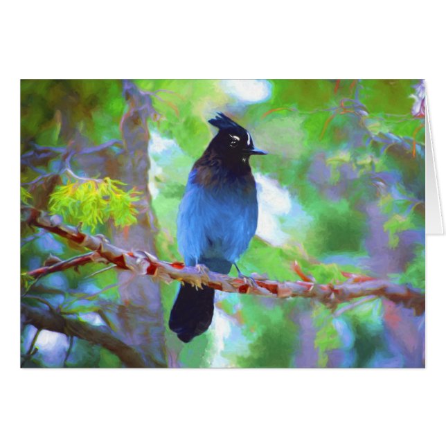 Pintura de Jay de Steller - Arte de pájaro origina (Anverso (Horizontal))