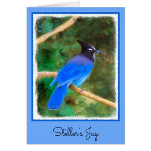 Pintura de Jay de Steller - Arte de pájaro origina