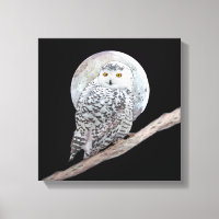 Pintura de lechuza y luna - Arte original de aves