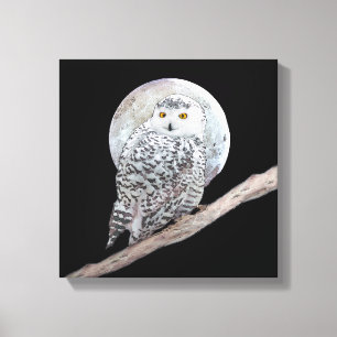 Pintura de lechuza y luna - Arte original de aves