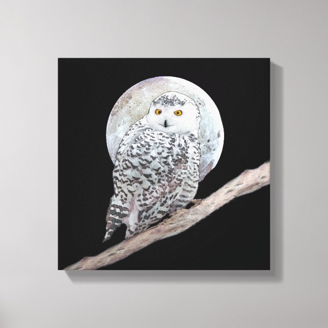 Pintura de lechuza y luna - Arte original de aves (Anverso)