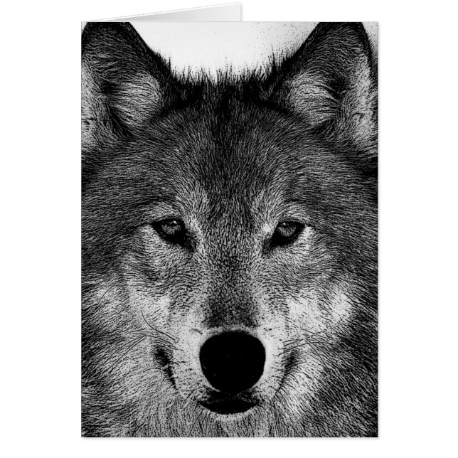 Pintura de Lobo Blanco y Negro (Frente)